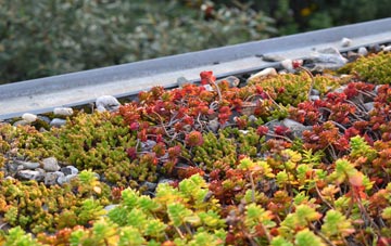 the cost of Lane Green green roof installation