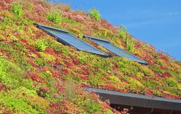 Lane Green living roof systems
