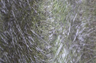 Lane Green fibreglass roof work